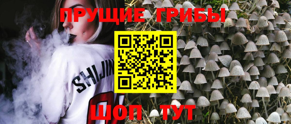 Псилоцибиновые грибы мицелий  Вход с VPN  Долгопрудный 