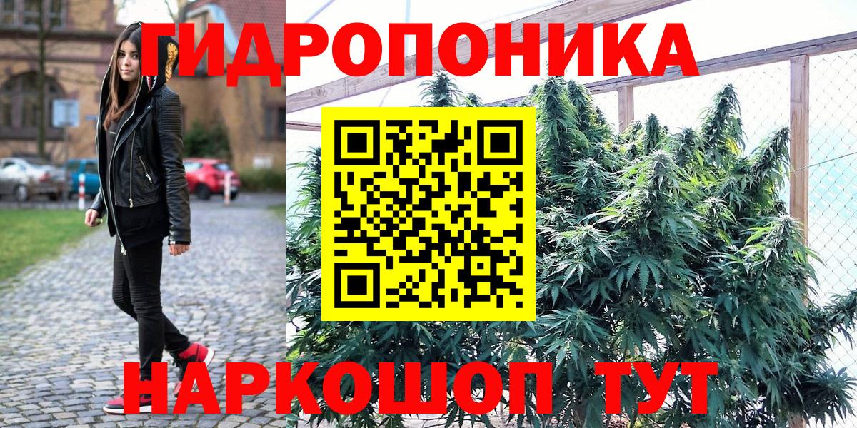 МАРИХУАНА OG Kush Долгопрудный